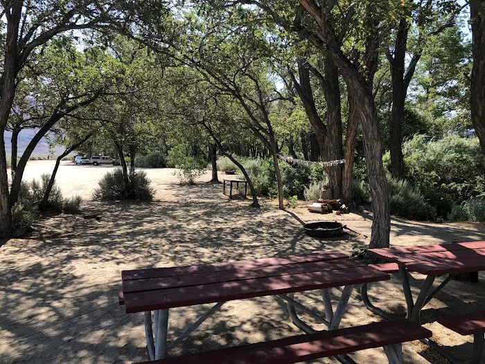 Taboose Creek Campground Picture 8