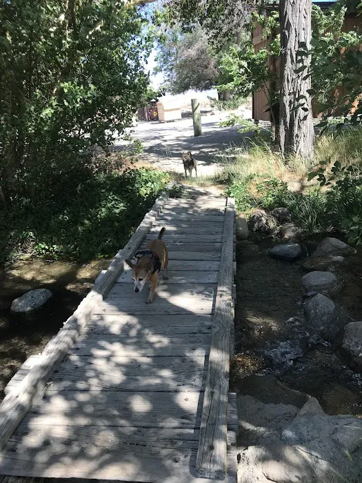Independence Creek Campground Picture 4