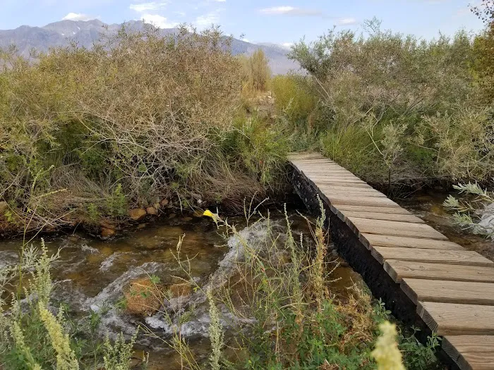 Independence Creek Campground Picture 5