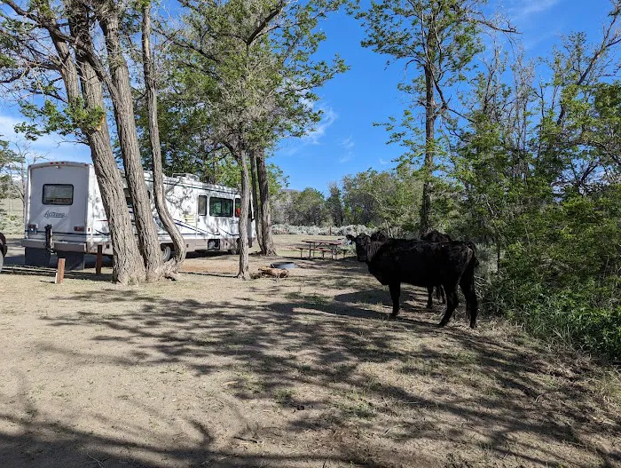 Tinnemaha Creek Campground Picture 4