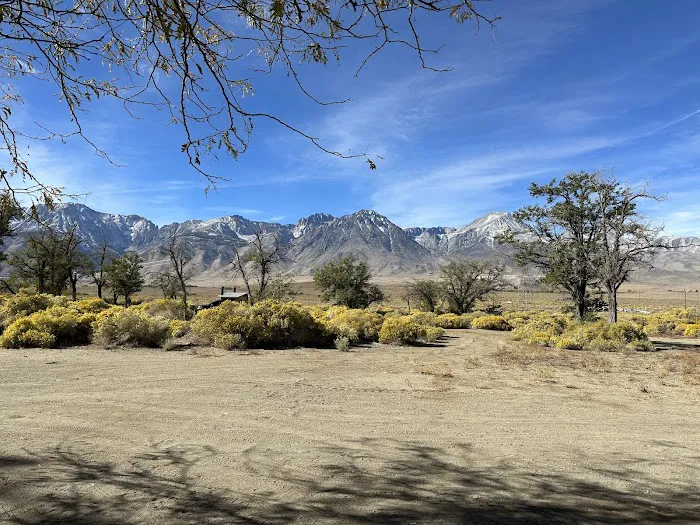 Tinnemaha Creek Campground Picture 3