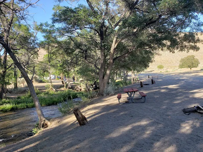 Tinnemaha Creek Campground Picture 5