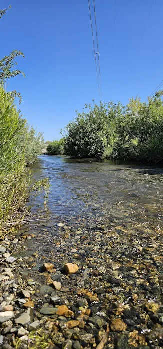 Tinnemaha Creek Campground Picture 8