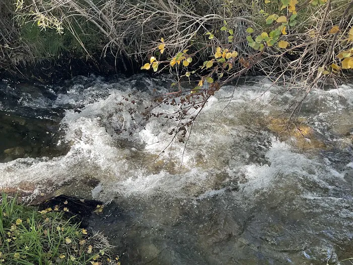 Tinnemaha Creek Campground Picture 7