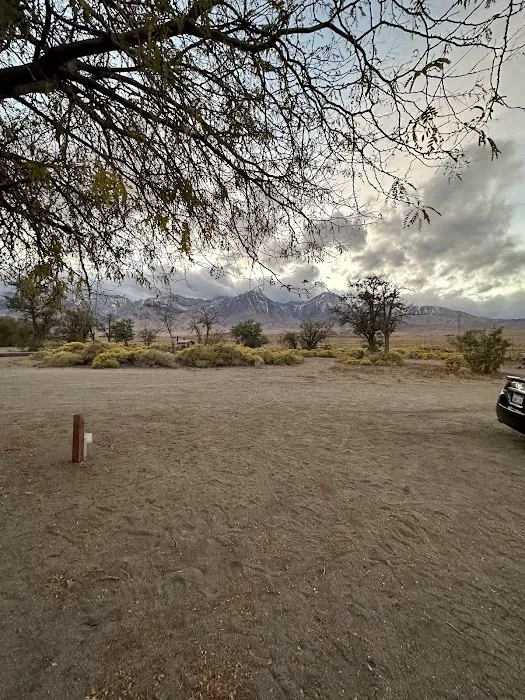 Tinnemaha Creek Campground Picture 9