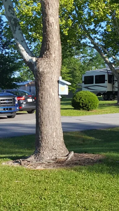 Buffaloe Enterprises & RV Park Picture 7