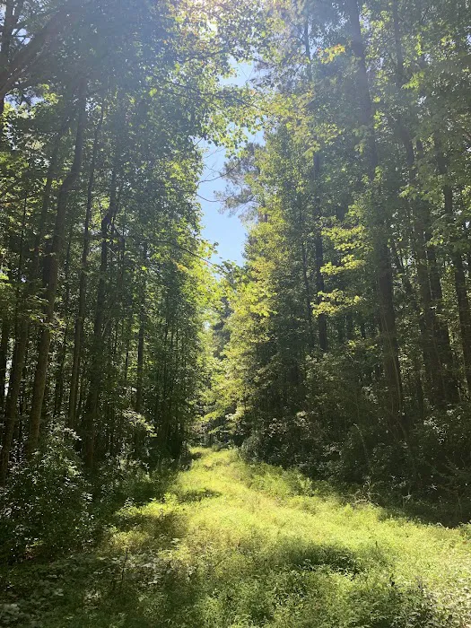 Mobile Estates Picture 5