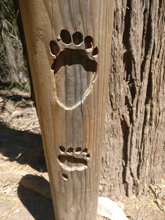 Greenhorn Mountain Park Picture 8