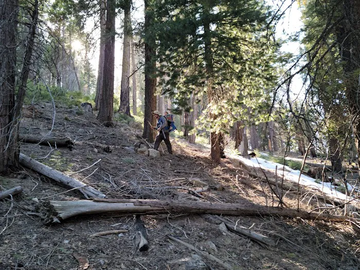 Greenhorn Mountain Park Picture 9