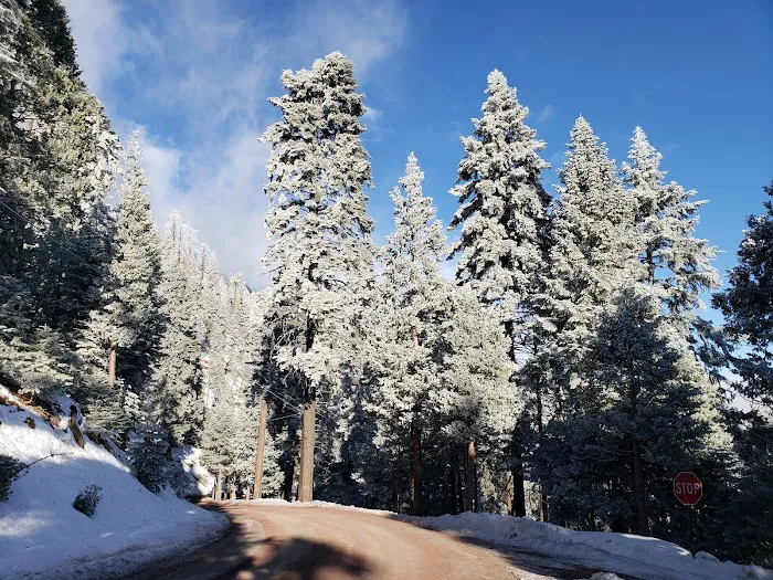 Greenhorn Mountain Park Picture 4