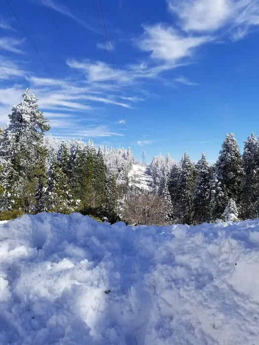 Greenhorn Mountain Park Picture 7