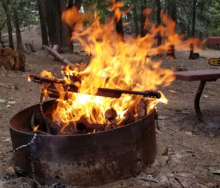 Shirley Meadows Campground Picture 4