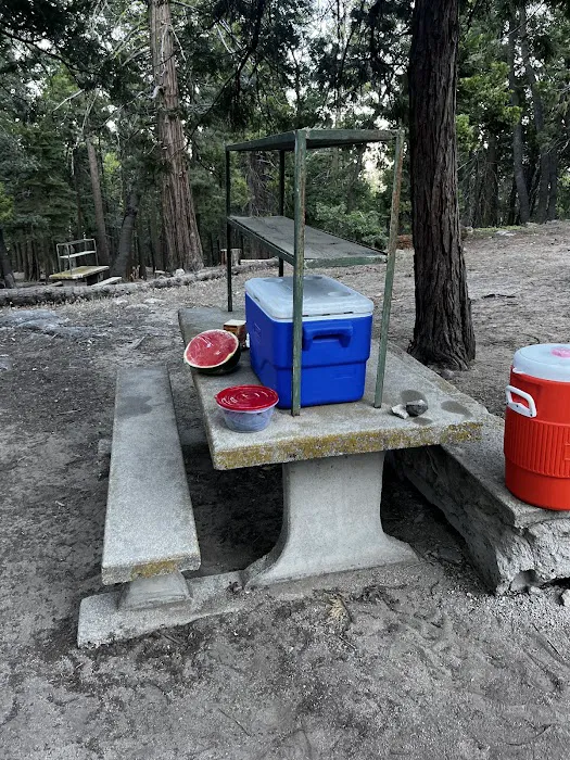 Shirley Meadows Campground Picture 7