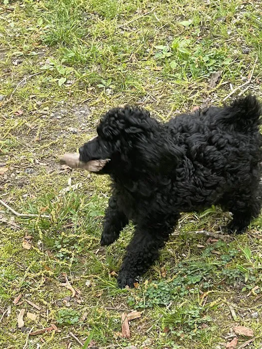 All Star Manufactured Home Community Picture 6