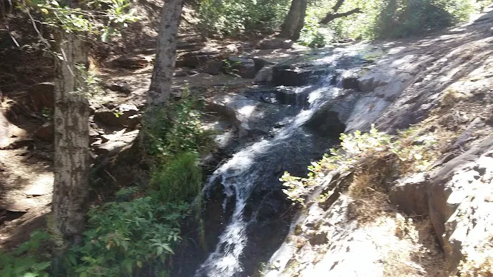 Alder Creek Campground Picture 3