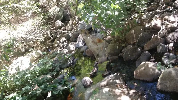 Alder Creek Campground Picture 5