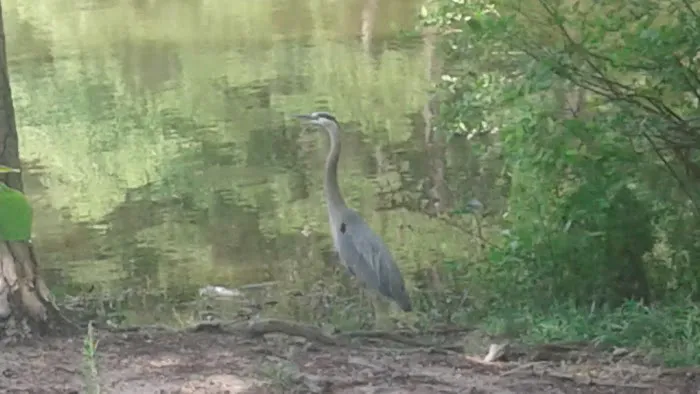 Lakeview Mobile Estates LLC. Picture 10