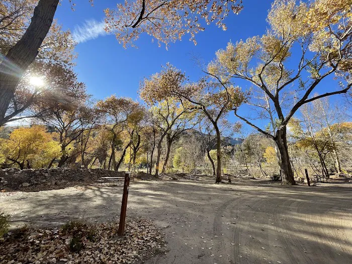 Frandy Park Campground Picture 6