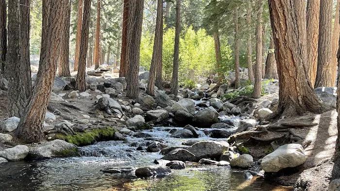 Whitney Portal Campground Picture 4