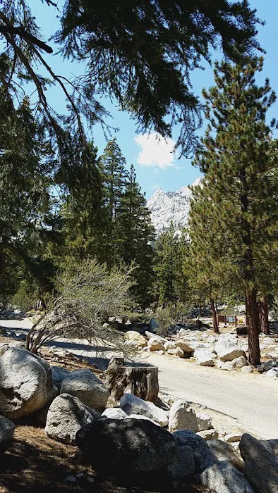Whitney Portal Campground Picture 2