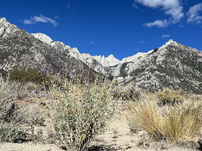 Lone Pine Campground Picture 2