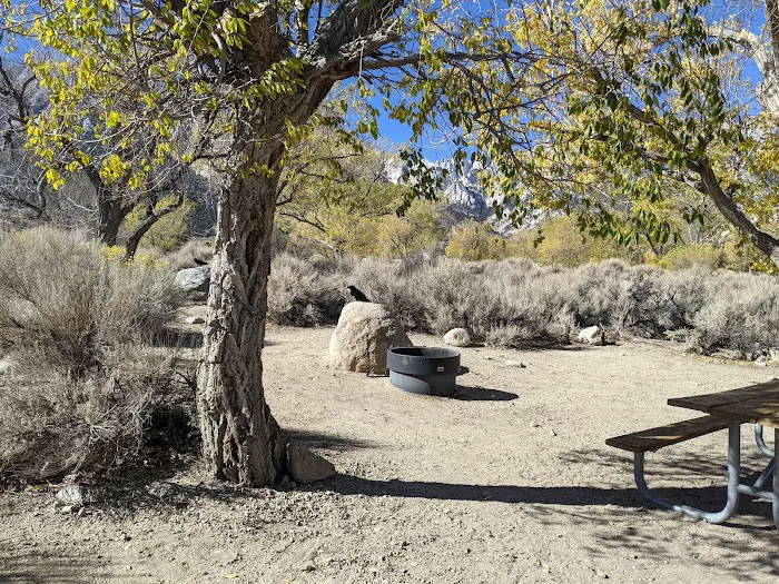 Lone Pine Campground Picture 4