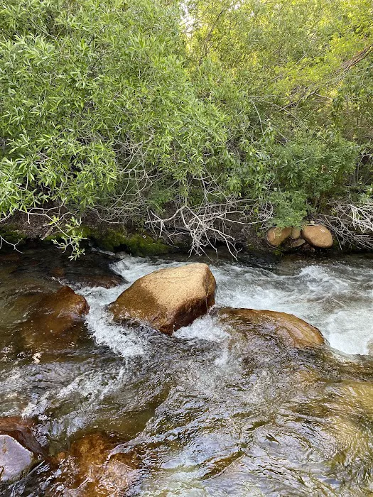 Lone Pine Campground Picture 3
