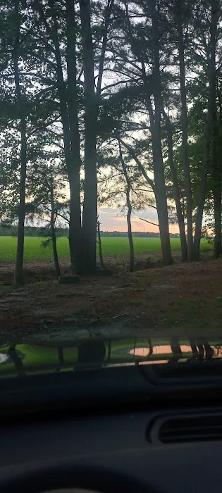 Vista Verde Picture 2