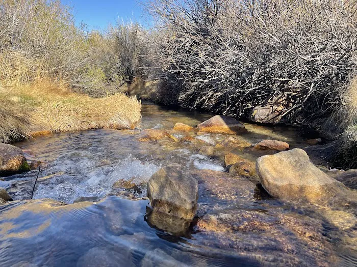Tuttle Creek Campground Picture 4