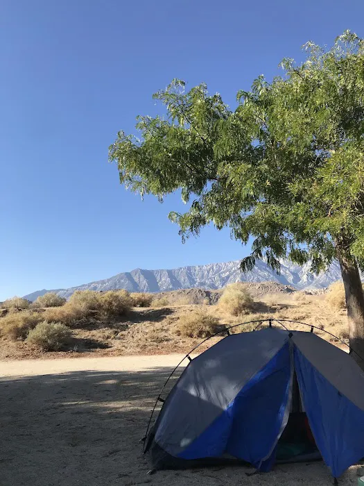 Portuguese Joe Campground Picture 6