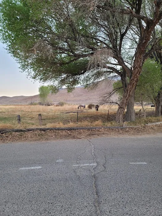 Diaz Lake Campground Picture 4