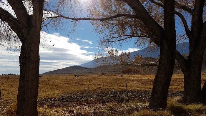 Diaz Lake Campground Picture 7