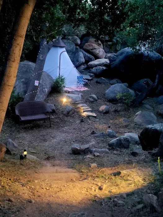 Nature's Roost Picture 4