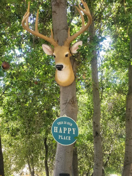 Nature's Roost Picture 3