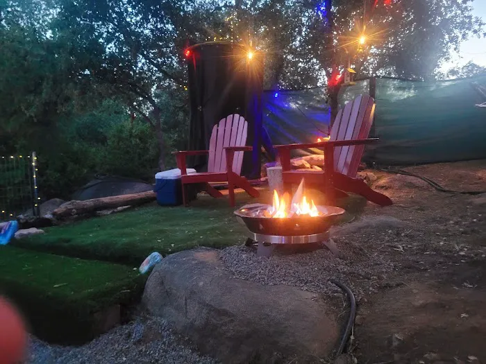 Nature's Roost Picture 2