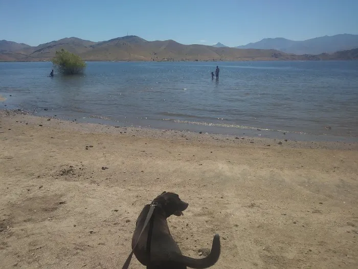 Tillie Creek Campground Picture 4