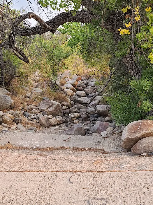 Tillie Creek Campground Picture 9