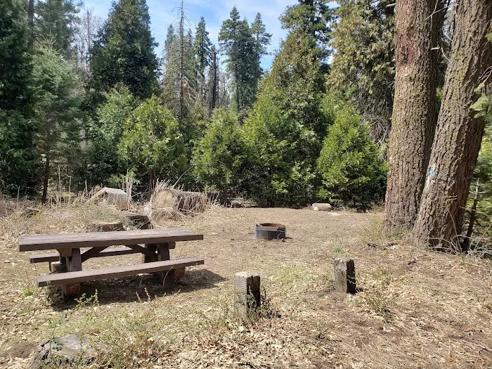 Evans Flat Campground Picture 1