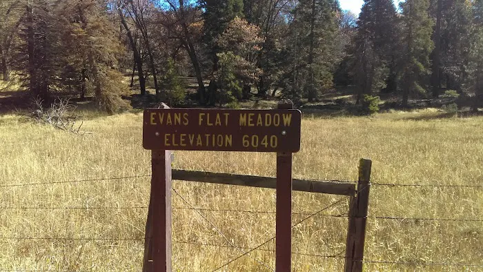 Evans Flat Campground Picture 5
