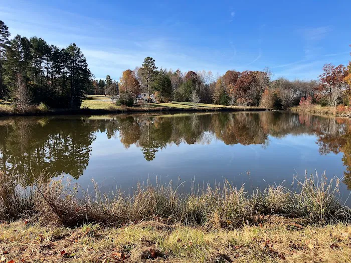 Dragstrip RV Park Picture 3