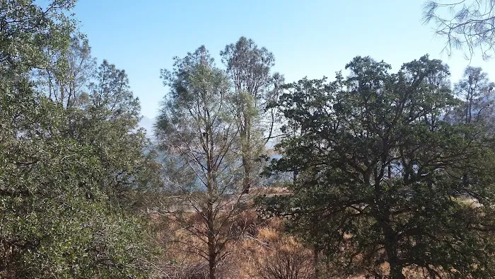 PIONEER POINT Picture 10