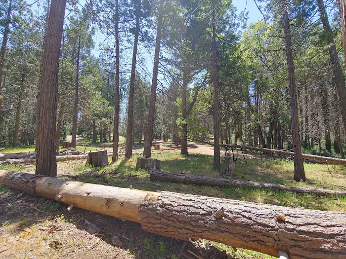 Davis Camp Picture 3