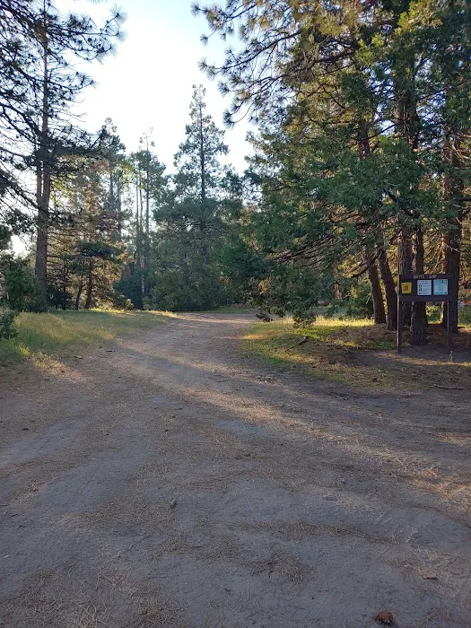 Davis Camp Picture 7