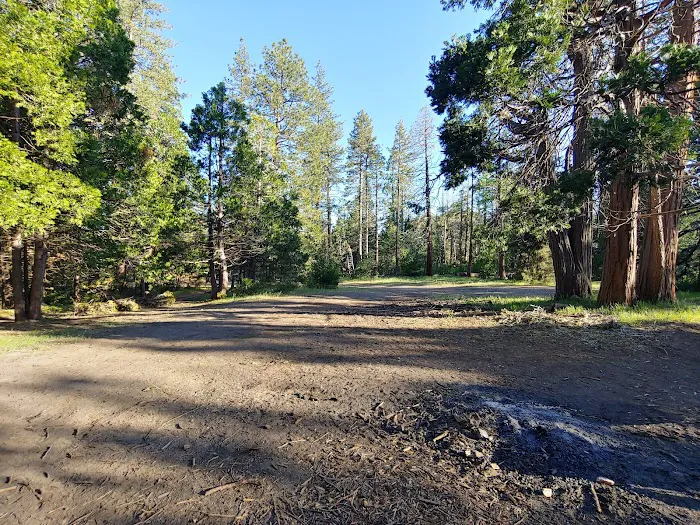 Davis Camp Picture 9