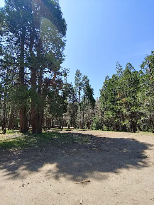 Davis Camp Picture 10
