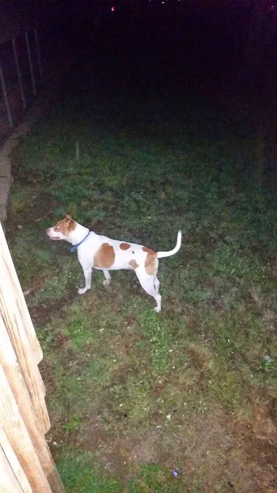 Whispering Pines Mobile Home Picture 8