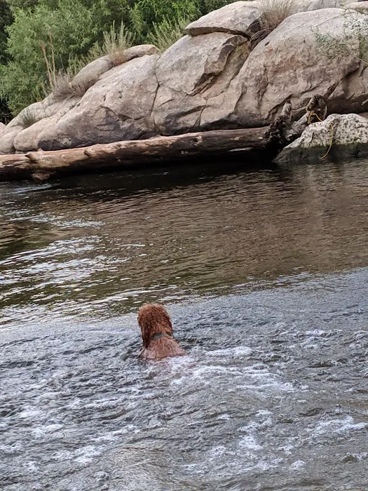 Sandy Hill Campground by Kern River Picture 7