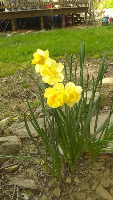 Maple Ridge Park Picture 3