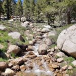 Cottonwood Lakes Walk in Campground