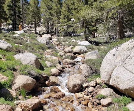 Cottonwood Lakes Walk in Campground